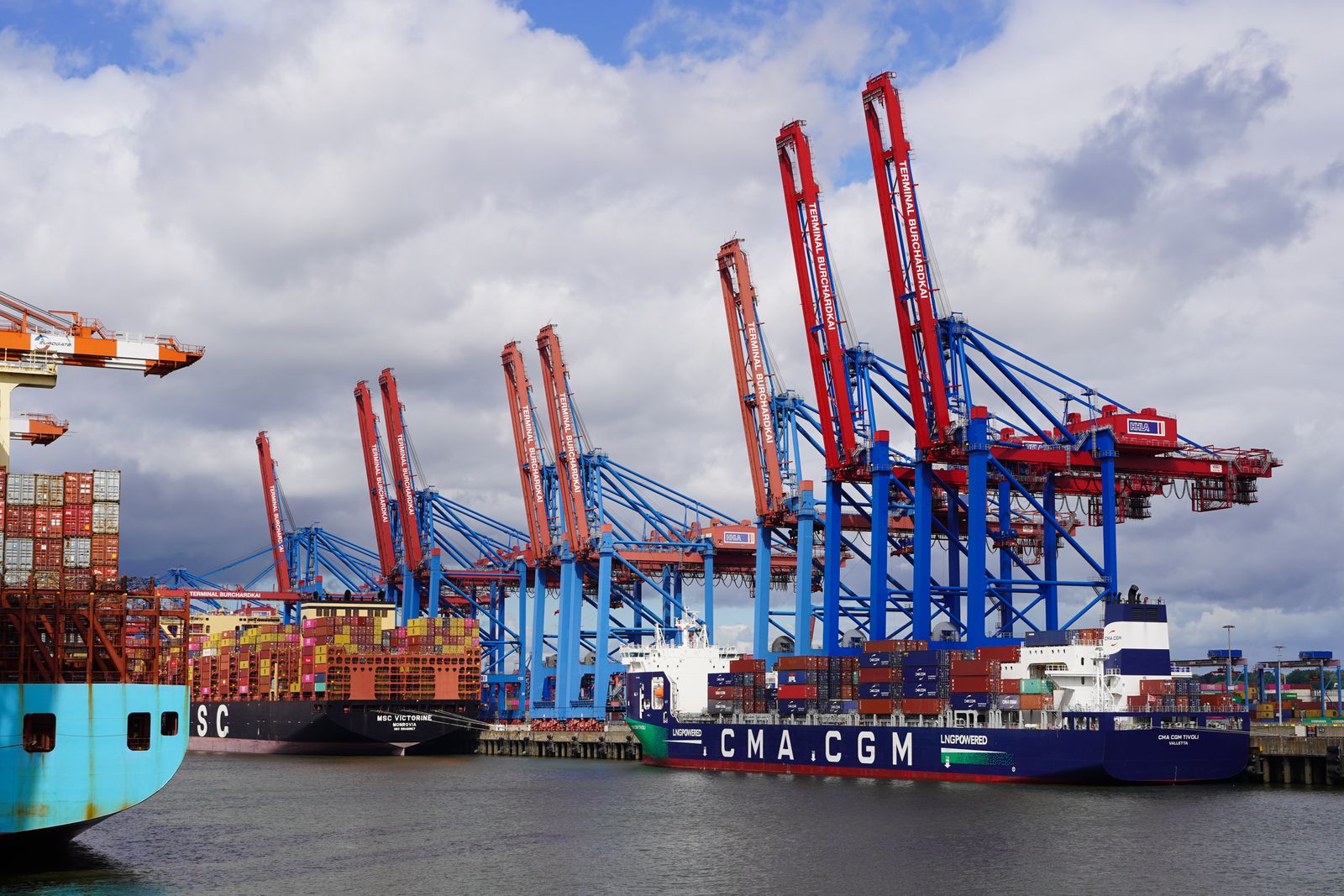 Container ships and cranes at the Port of Hamburg